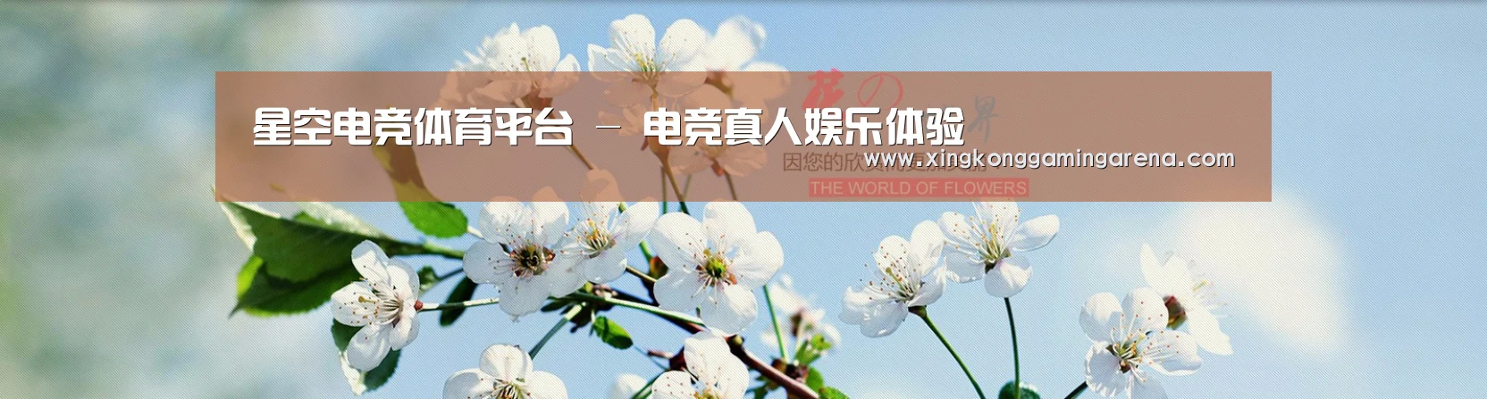 花卉园林种植展示网站模板