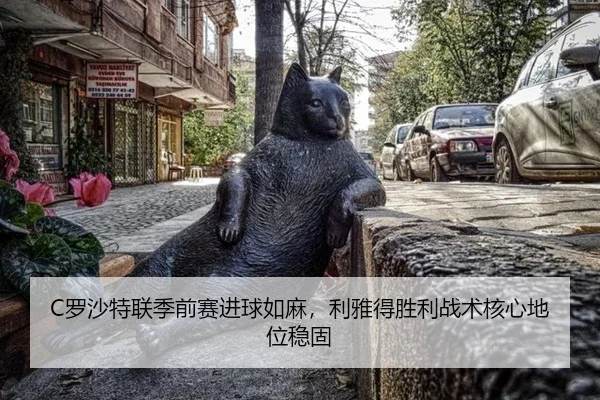 luo-sha-te-lian-ji-qian-sai-jin-qiu-ru-ma-li-ya-de-sheng-li-zhan-shu-he-xin-di-wei-wen-gu-3-595.jpg