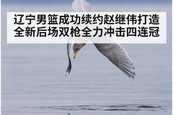 辽宁男篮成功续约赵继伟打造全新后场双枪全力冲击四连冠